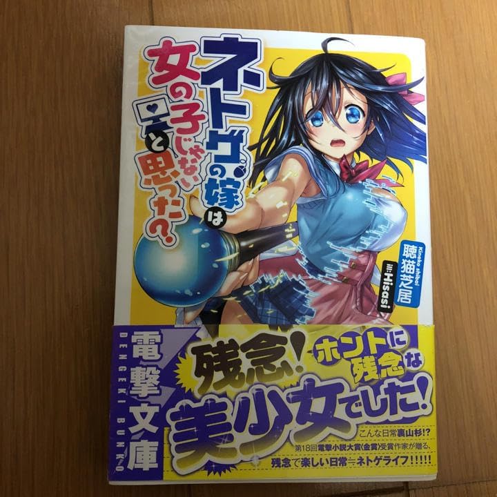 額縁 S3 オール50 チタン 安田精工 アート 油絵 アクリル画 - MISATO